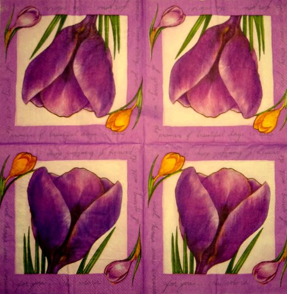 170 Daffodils - 3 ply -